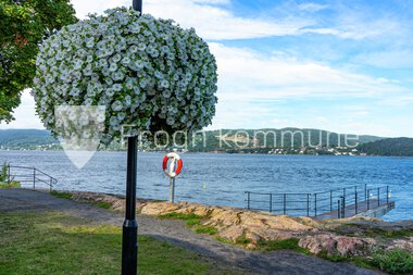 Blomster Drøbak sentrum 