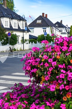 Blomster Drøbak sentrum 