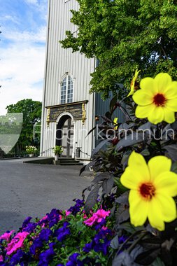 Blomster Drøbak sentrum 