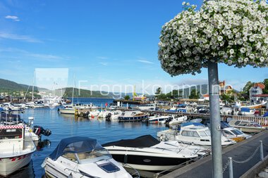 Blomster Drøbak sentrum 