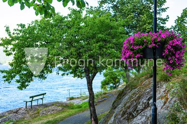 Blomster Drøbak sentrum 