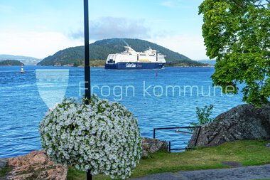 Blomster Drøbak sentrum 