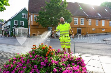 Blomster Drøbak sentrum 