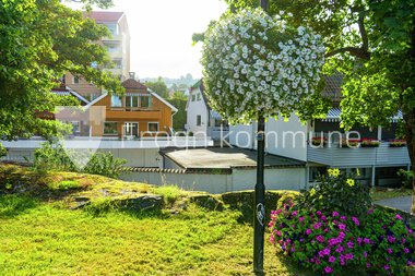 Blomster Drøbak sentrum 