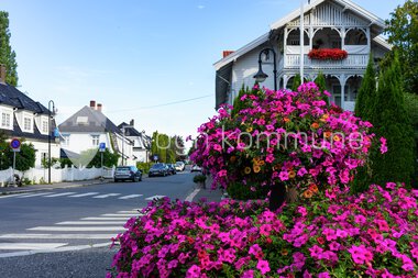Blomster Drøbak sentrum 