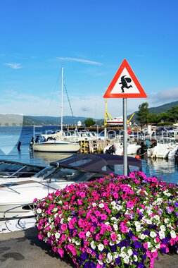 Blomster Drøbak sentrum 