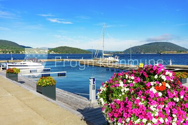 Blomster Drøbak sentrum 