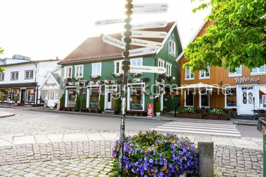 Blomster Drøbak sentrum 