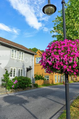 Blomster Drøbak sentrum 