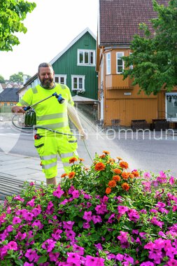 Blomster Drøbak sentrum 
