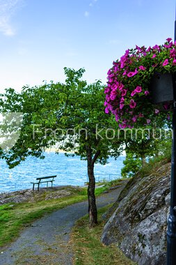 Blomster Drøbak sentrum 