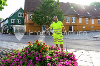 Blomster Drøbak sentrum 