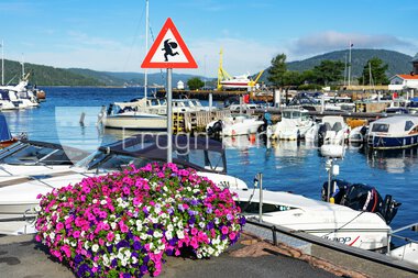 Blomster Drøbak sentrum 