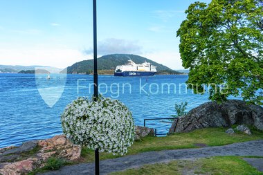 Blomster Drøbak sentrum 