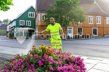 Blomster Drøbak sentrum 