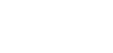 Hvit sekundærlogo  - NTE