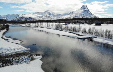 Montering av pukkellaksfelle