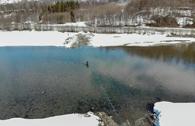 Montering av pukkellaksfelle