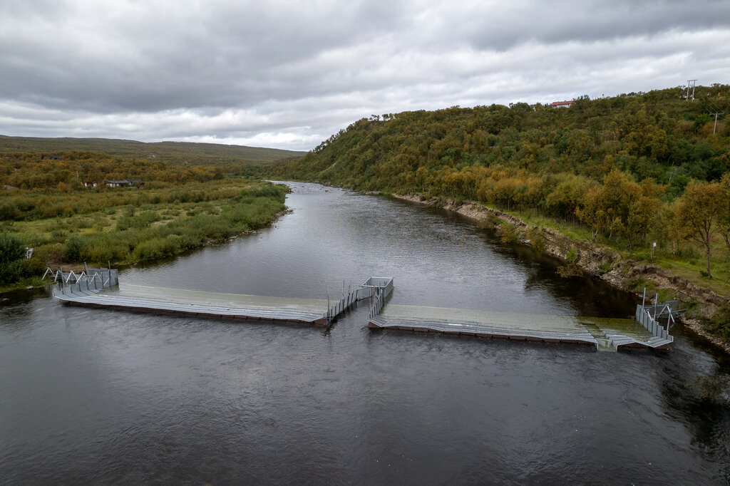 Felle for pukkellaks