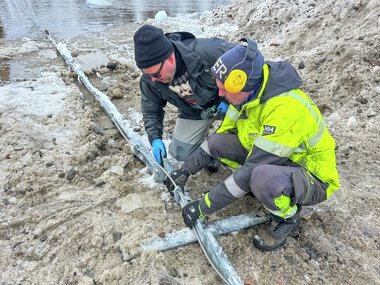 Montering av pukkellaksfelle