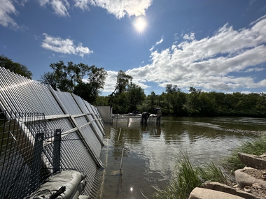 Pukkellaks i Finnmark