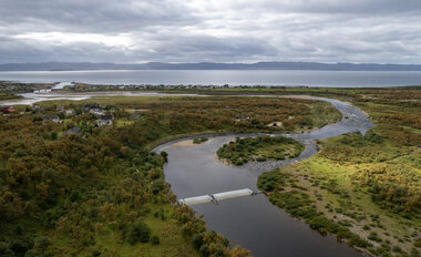 Felle for pukkellaks