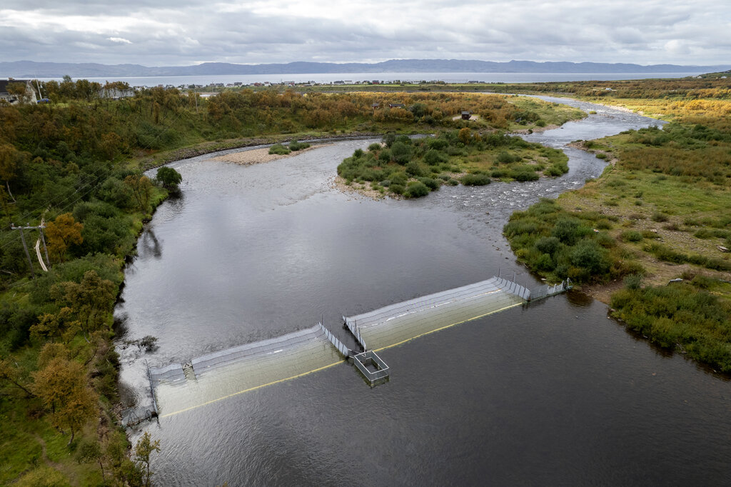 Felle for pukkellaks