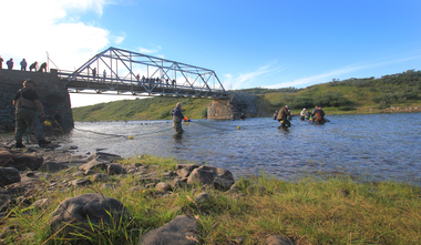 Notfangst av pukkellaks