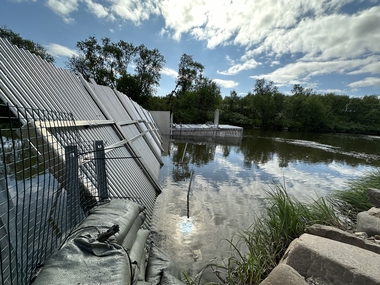 Pukkellaks i Finnmark