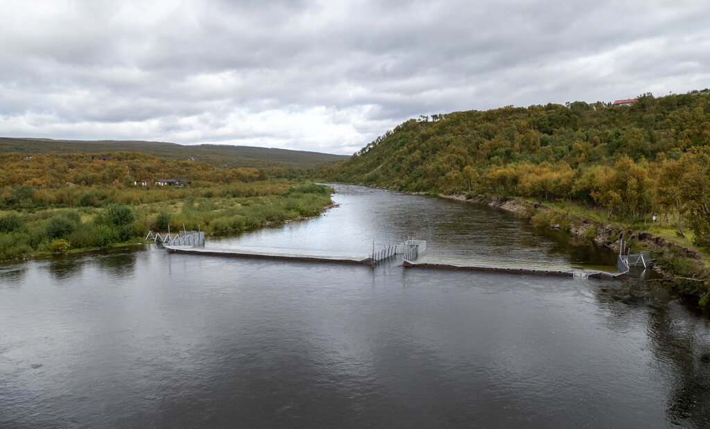 Felle for pukkellaks