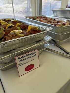 Åpning av Maudal kraftverk