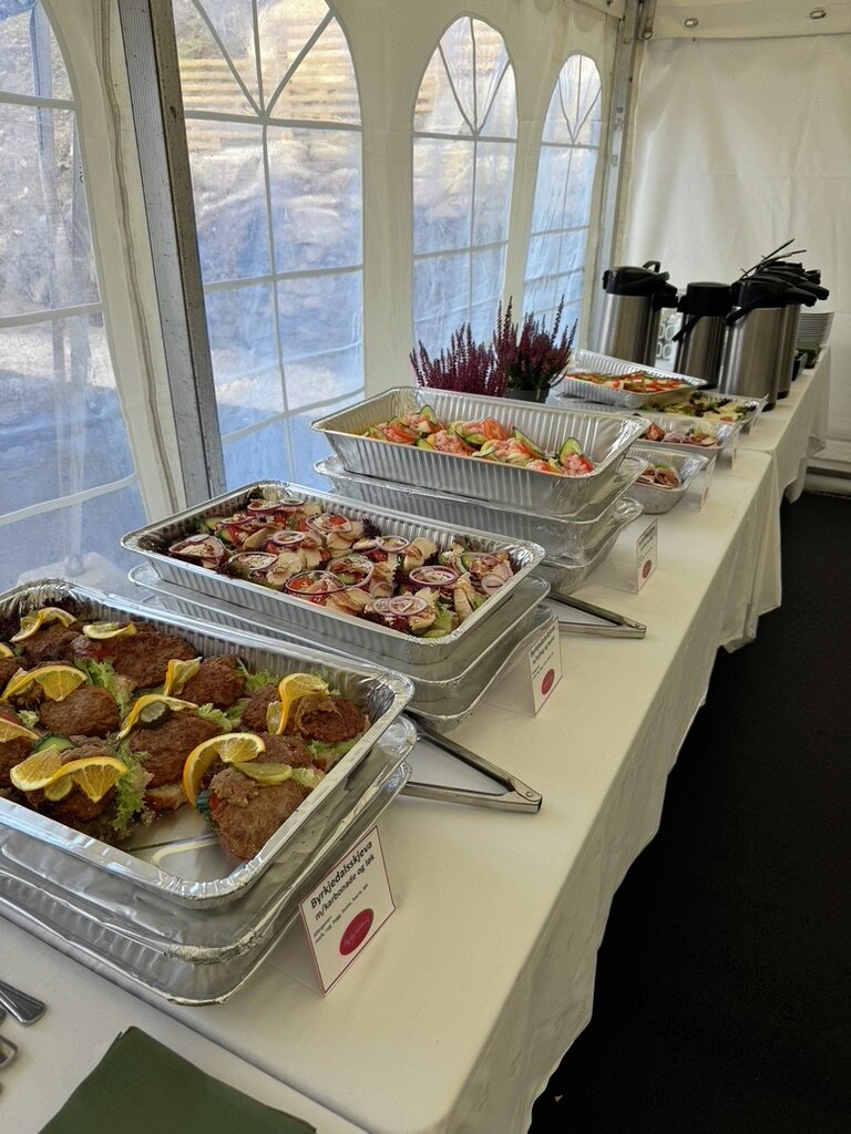 Åpning av Maudal kraftverk