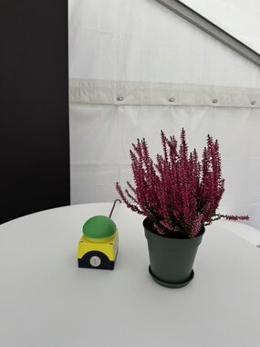 Åpning av Maudal kraftverk