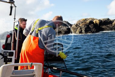 Hummerfiske på Utsira
