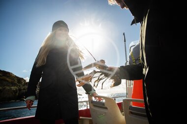 Hummerfiske på Utsira