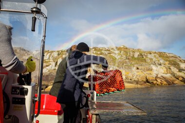 Hummerfiske på Utsira