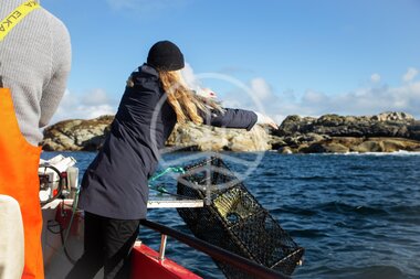 Hummerfiske på Utsira
