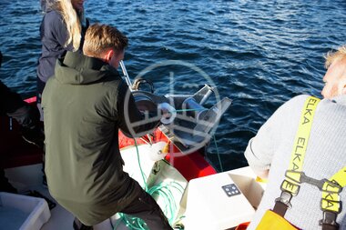 Hummerfiske på Utsira