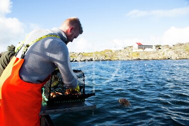 Hummerfiske på Utsira