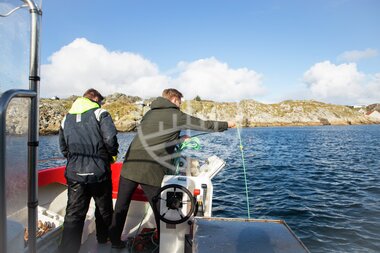 Hummerfiske på Utsira