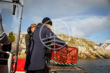 Hummerfiske på Utsira
