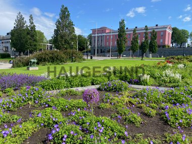 Rådhusparken om sormmeren