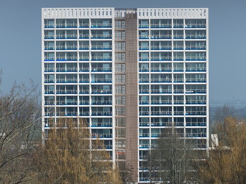 Corthingborg, Groningen
