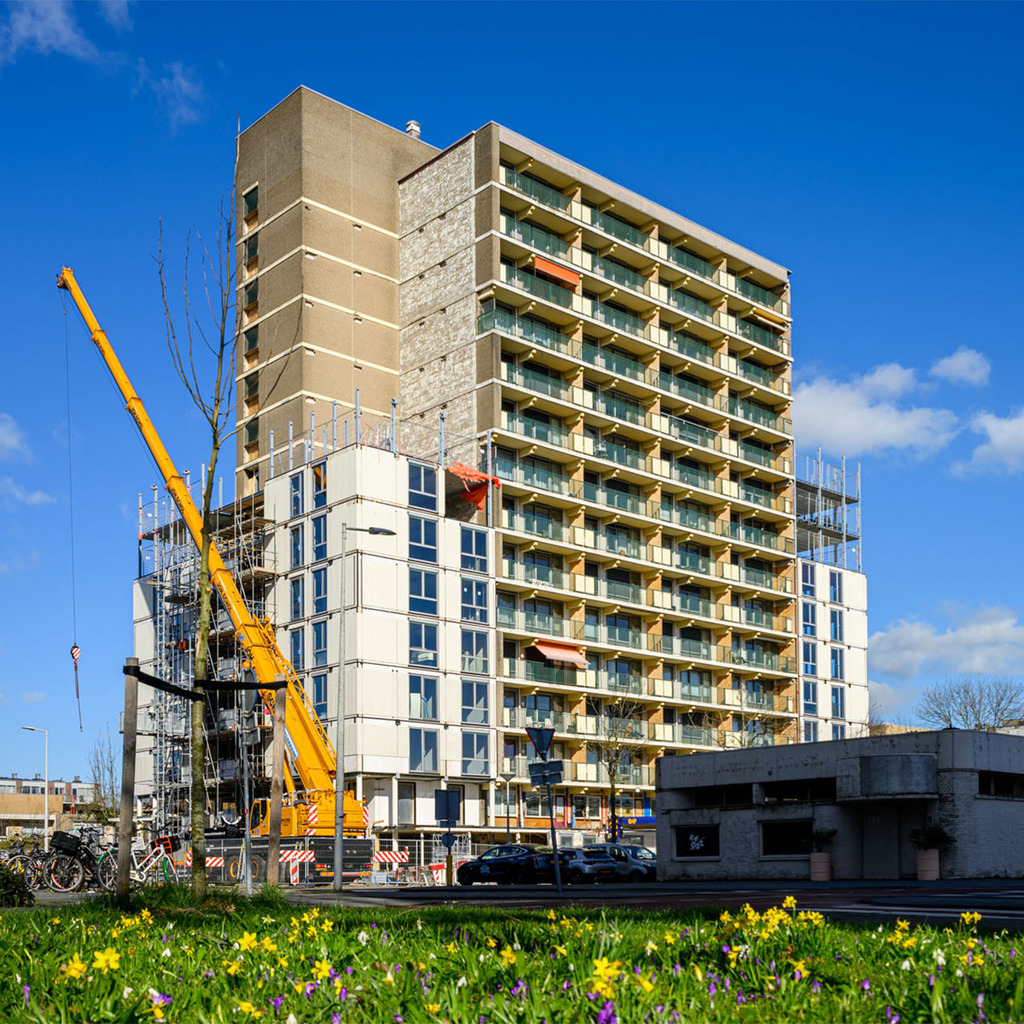 Steni Nature 3D Scandinavian Forest