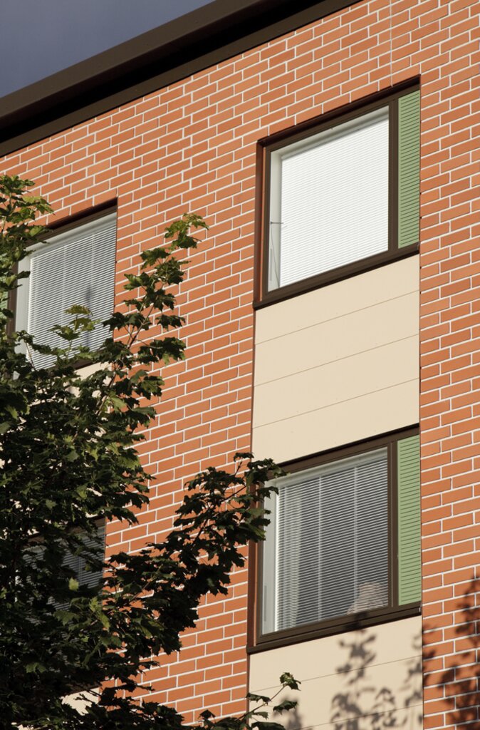 Topparoikka_3_pienet