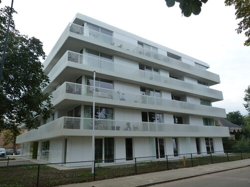 De Vrijheid, Den Bosch