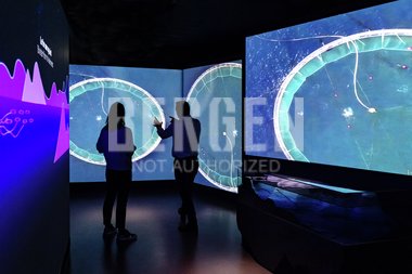 Storeblå - Museum Vest