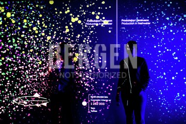 Storeblå - Museum Vest