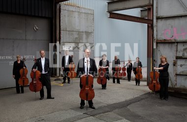 Cellogruppen oppstilt