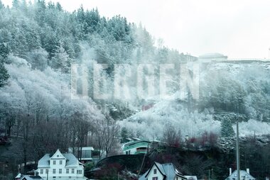 Vinterfrost på Fløyen 